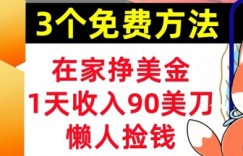 在家挣美金，3个方法 1天收入90美刀，超简单，长久被动收入，懒人捡钱