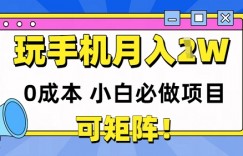0成本小白必做项目，可矩阵，玩玩手机月入1w+
