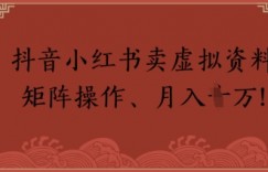 抖音小红书卖虚拟教辅、公务员资料，矩阵操作，月入1W+