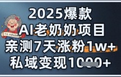 2025爆款 AI 老奶奶项目：亲测 7 天涨粉 1W+，私域变现 1k+
