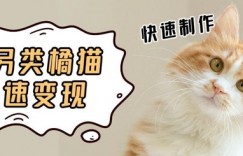 5个作品涨粉30W！AI+江湖橘猫视频制作，小白轻轻松松上手，条条爆款，条条变现，单日就能收益