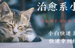 拆解，疯狂火爆！抖音，小红书，视频号小猫治愈的视频，轻松制作+快速拿到结果