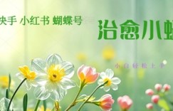 疯狂火爆！抖音，小红书，视频号蜗牛治愈的视频，轻松制作+快速拿到结果