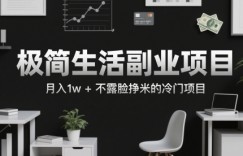 极简生活副业项目，月入1w+不露脸挣米的冷门项目