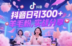 抖音日引300+羊毛粉，实战分享