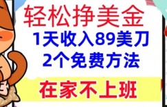 在家不上班，轻松挣美金， 1天收入89美刀，2个免费方法，懒人捡钱