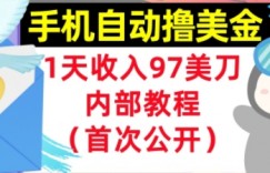 手机自动撸美金，0门槛，1天收入97美刀，懒人捡钱，内部教程(首次公开)