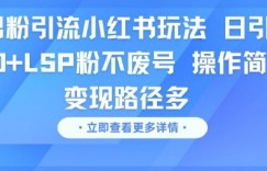 男粉引流小红书玩法，日引100+LSP粉不废号，操作简单，变现路径多
