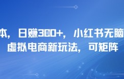 0成本，日入3张+，小红书无脑搬运，虚拟电商新玩法，可矩阵