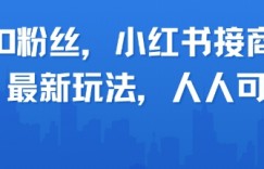 0粉丝，小红书商单最新玩法，人人可做，月入3k