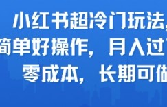 小红书超冷门玩法，简单好操作，月入过W，0成本，长期可做