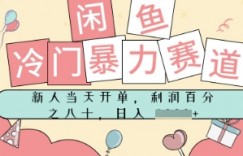 闲鱼冷门暴力赛道，新人当天开单，门槛低，日入多张
