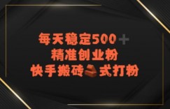 快手搬砖式打粉，每天稳定500+精准创业粉