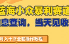 蓝海小众暴利赛道，信息查询，当天见收益，不讲玄学，7天搞了2W+