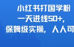 小红书打国学粉，一天进线50+，保姆级实操，人人可做