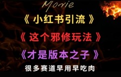 最近小红书引流这个邪修玩法才是版本之子，很多赛道早用早吃肉