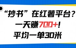 抄书在红薯平台？一天挣几张，平均一单30米，有手就行，新手小白不二之选！