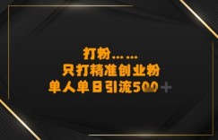 打粉只打精准创业粉，单人单日引流500+