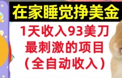 在家挣美金，1天收入93刀，最刺激的项目，0门槛，自动收入(首次公开)