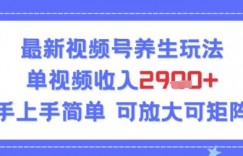 视频号养生玩法，单视频收入2.9k，新手上手简单