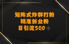 矩阵炸群打粉，日引流500+精准创业粉
