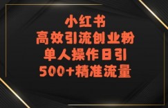 小红书高效引流创业粉，单人操作日引500+精准流量