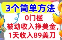 被动收入挣美金，1天收入89刀，3个最简单方法，适合新人和小白