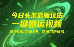 今日头条最新玩法，一键搬运视频，单日轻松变现3张， 新风口新玩法