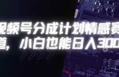 视频号分成计划情感赛道，小白也能日入3张