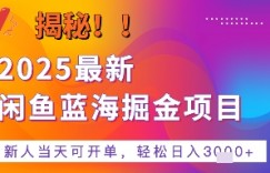 2025最新闲鱼蓝海掘金项目，新人当天可开单，轻松日入多张+的保姆级教程