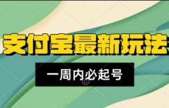 支付宝生活号，新赛道，利用老外开盲盒视频，一周起号，新手小白也能月入过W