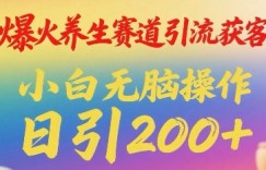 爆火养生赛道引流获客，小白无脑操作，日引200+