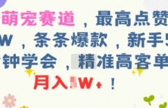 AI萌宠赛道，最高点赞57W，条条爆款，新手5分钟学会，精准高客单，月入1W+