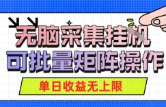 无脑采集自动运行，可批量矩阵操作，单日收益无上限