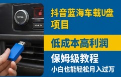 抖音蓝海车载U盘项目，低成本高利润保姆级教程，小白也能轻松月入过W
