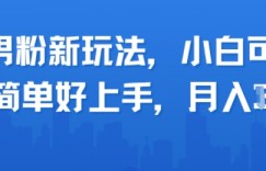 男粉新玩法，小白可做，简单好上手，月入1w