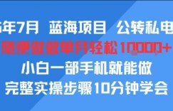25年7月蓝海项目，公转私电商，随便做做单月轻松1w，小白一部手机就能做，完整实操步骤10分钟学会