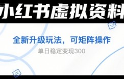 小红书虚拟资料全新升级玩法，可矩阵操作，单日稳定变现3张