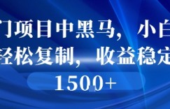 冷门项目中黑马，小白可轻松复制，收益稳定1.5k