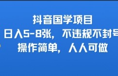 抖音国学项目，日入5-8张，不违规不封号，操作简单，人人可做