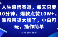 人生感悟赛道，每天只要十分钟，爆款点赞10W+，涨粉带货太猛了，小白可玩，操作简单