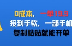 0成本，一单19.9，接到手软，一部手机，复制粘贴就能开单