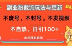 副业粉截流玩法与更新，不废号，不封号，不发视频，不自热，日引100+