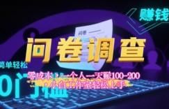 2025《问卷调查》最新工作室技术解密：一个人在家也可以闷声发大财，小白一天2张+，可矩阵放大