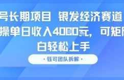 视频号长期项目 银发经济赛道 单账号实操单日收入1k，可矩阵 小白轻松上手