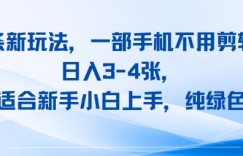头条新玩法，一部手机不用剪辑，日入3-4张，适合新手小白上手，纯绿色