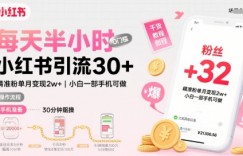 每天半小时小红书引流30+，精准粉单月变现2w+，小白新手一部手机可做，今天5分钟硬核实操