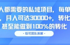 每个人都需要的私域项目，每单利润40米，月入可达3W+，转化率高 甚至能做到100%的转化