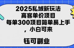 2025私域新玩法高客单价，每单3张操作简单，小白可轻松上手