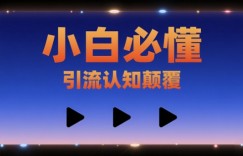 小白必懂，引流认知颠覆，三个视频讲透
